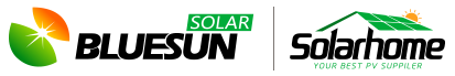 bluesun kompanija